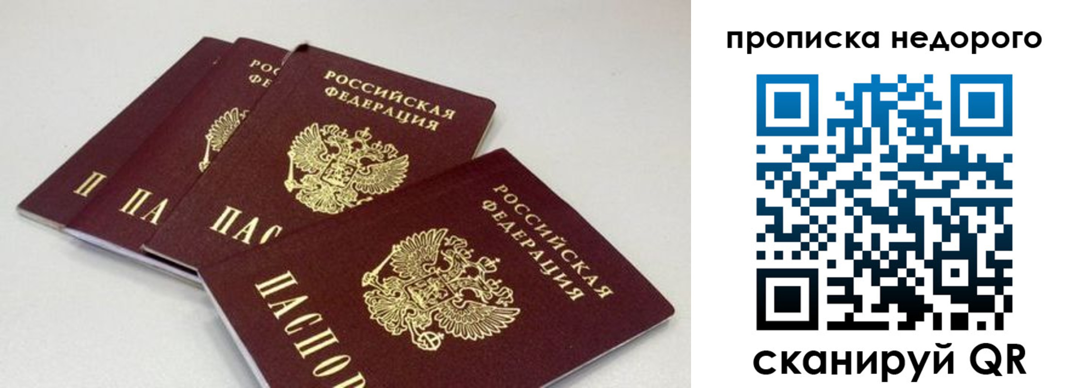 прописка штамп в Благовещенске