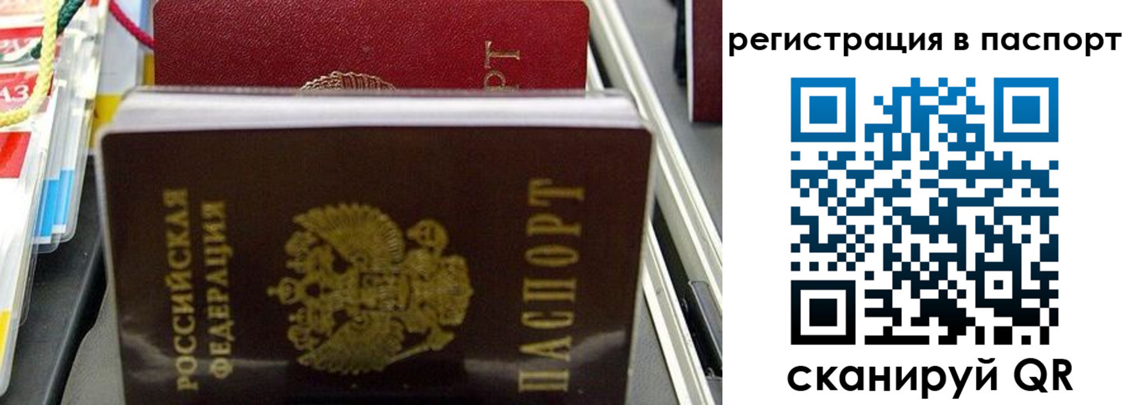 прописка для школы в Благовещенске